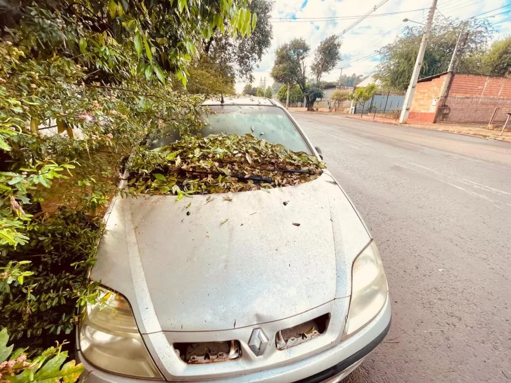 Projeto em tramitação na Câmara de Marechal Cândido Rondon estabelece regras para remoção e destinação de veículos abandonados em espaços públicos. (Foto: Divulgação)