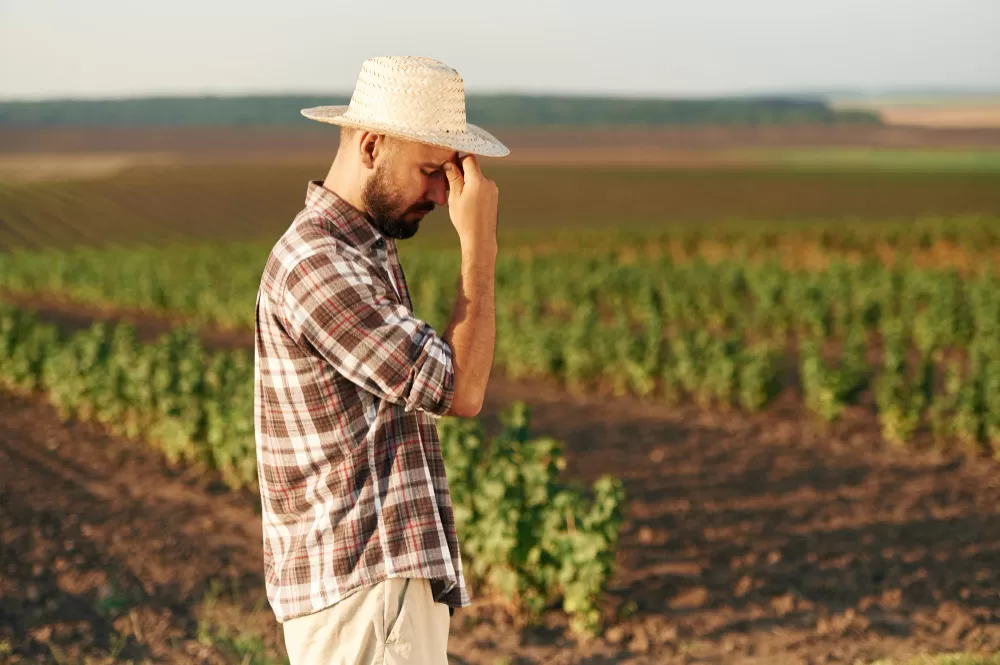 Agronegócio brasileiro contabilizou 474 pedidos de recuperação judicial no primeiro trimestre de 2026, alta de 21,9% em relação ao mesmo período do ano passado. (Foto: Magnific)