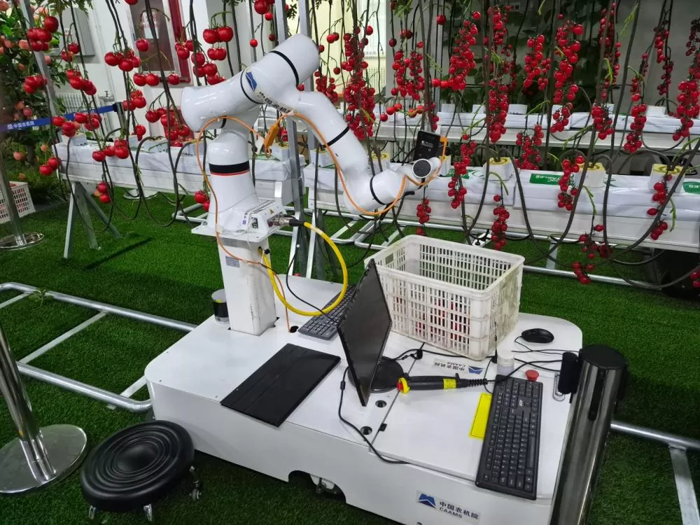 Cooperação prevê testar inteligência artificial, sensores, robótica e máquinas agrícolas inteligentes em condições reais da agricultura brasileira. (Foto: Divulgação)