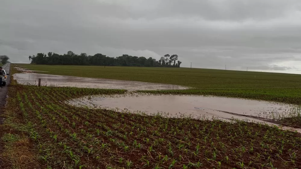 Pato Bragado acumula mais de 200 mm de chuva desde sábado (10), segundo dados do Agroclima divulgados pela Administração Municipal. (Foto: Divulgação)