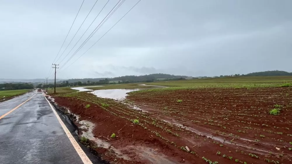 Equipes da Secretaria de Infraestrutura realizaram a limpeza das laterais da rodovia entre a sede de Marechal Cândido Rondon e Margarida nesta quarta-feira (14). (Foto: Divulgação)