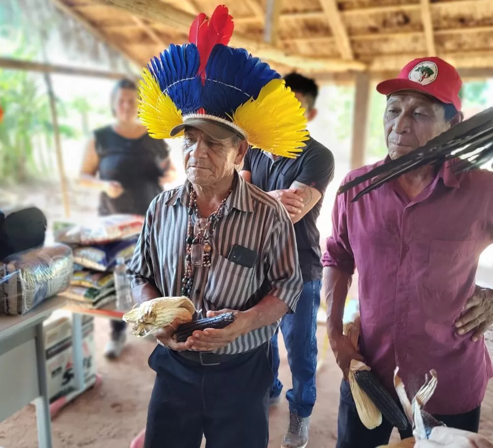 Variedades tradicionais de milho voltam a ser cultivadas e compartilhadas por comunidades Avá Guarani de Guaíra e Terra Roxa. (Foto: Divulgação)