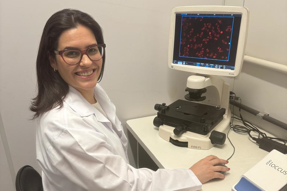 Pesquisadores estudam uso de composto na própolis para tratamento de câncer de mama. Foto: Fundação Araucária